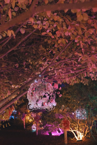 Los embajadores de la Navidad llegan al Real Jardín Botánico Alfonso XIII