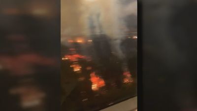 Arde parte del jardín vertical de la M-30