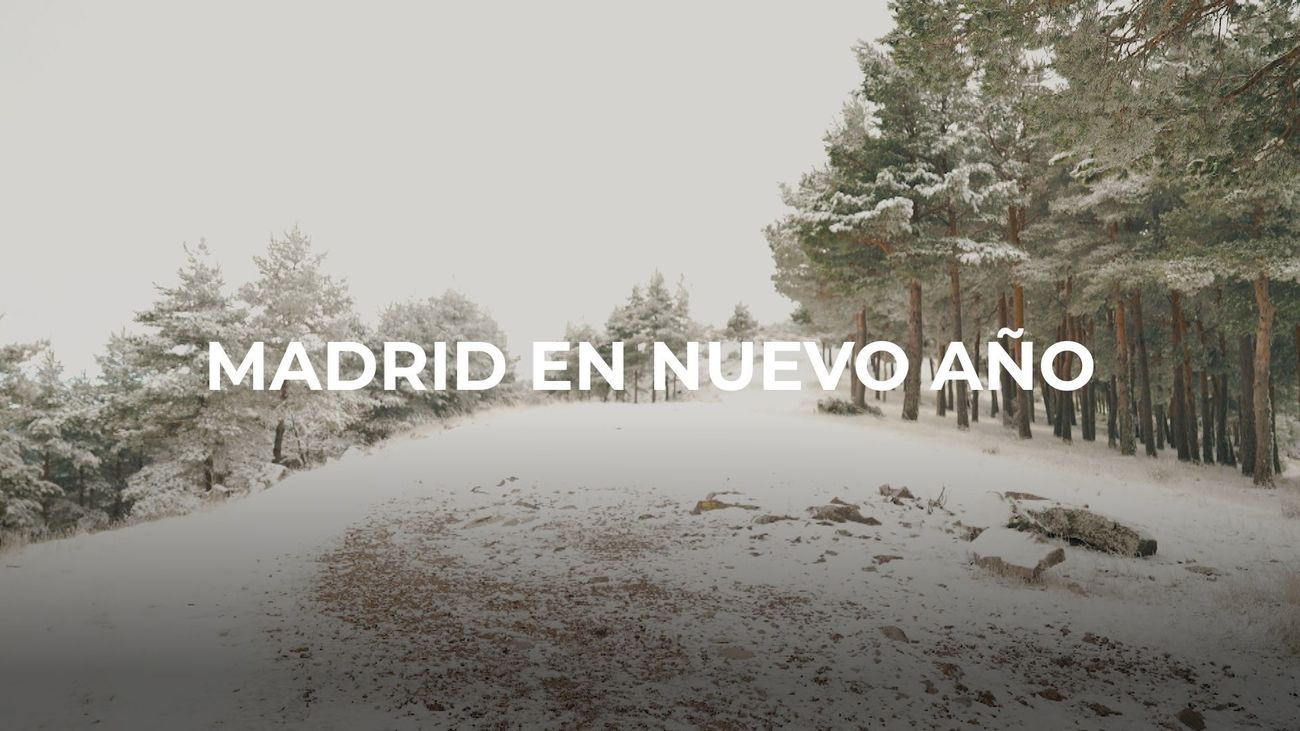 Enamorados de Madrid: Nuevo Año