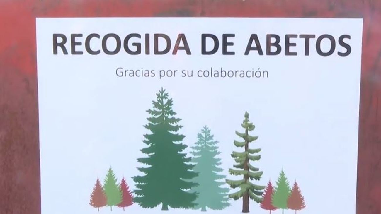 Comienza la campaña municipal de recogida de abetos navideños hasta el 31 de enero