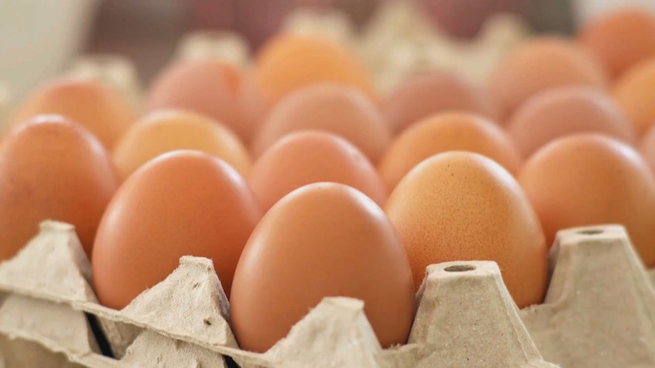 ¿Es seguro hacer mayonesa casera? Resuelve todas tus dudas sobre el consumo de huevo