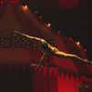 El Circo Price arranca temporada con homenaje a los payasos y grandes sorpresas