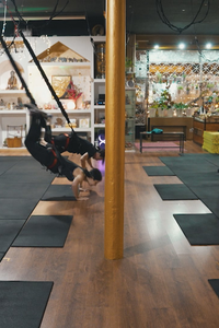 De las artes circenses al gimnasio: el auge del bungee fitness