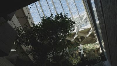 La Otra Agenda 17.01.2026