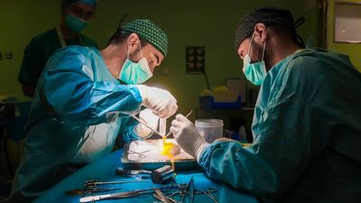 España realiza 6.335 trasplantes en 2025, un 2% menos que el récord alcanzado el año anterior