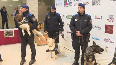 La Comunidad de Madrid, reconocida por su apoyo a la adopción de perros de servicio jubilados