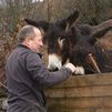 Casimiro y sus burros, una lección de compañerismo y mutualismo en Robledondo