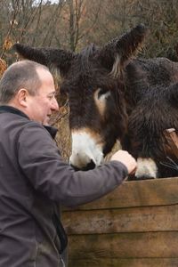 Casimiro y sus burros, una lección de compañerismo y mutualismo en Robledondo