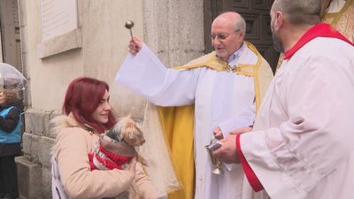 San Antón bendice en Madrid a las mascotas en un 'día de perros'