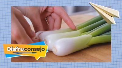 ¿Cómo conservar los ajetes de temporada?