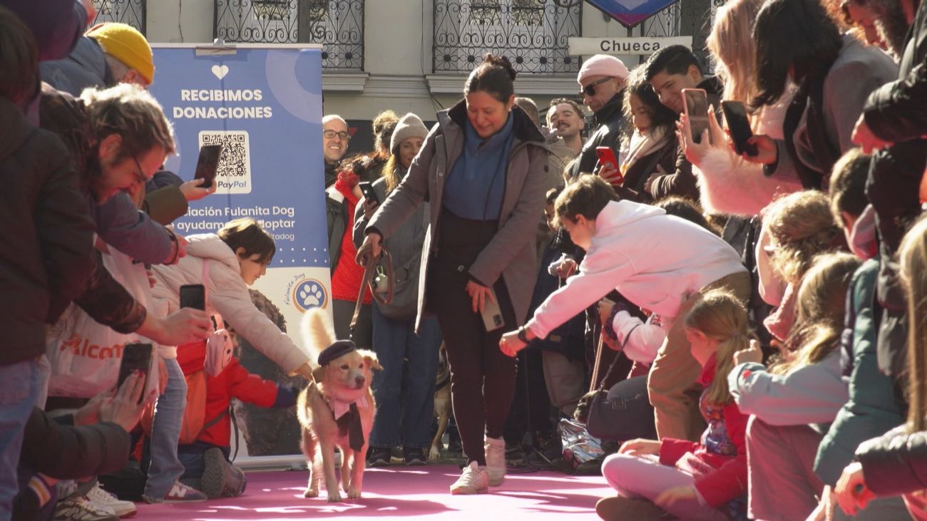 Desfile de mascotas en Chueca en favor de la adopción y el respeto animal