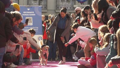 Desfile de mascotas en Chueca en favor de la adopción y el respeto animal