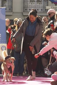 Desfile de mascotas en Chueca en favor de la adopción y el respeto animal