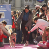 Desfile de mascotas en Chueca en favor de la adopción y el respeto animal