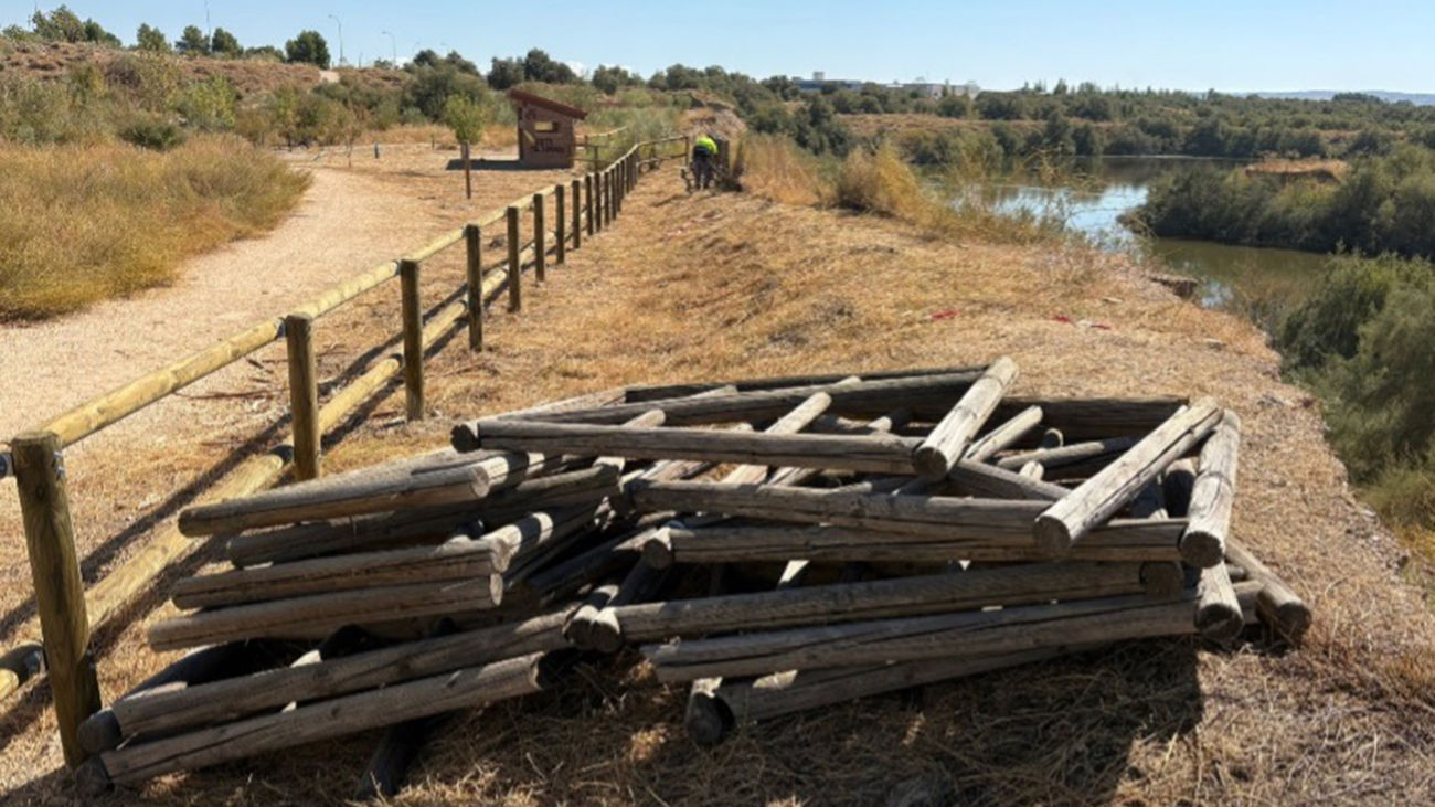 Trabajos de recuperación de humedales del Parque Regional del Sureste