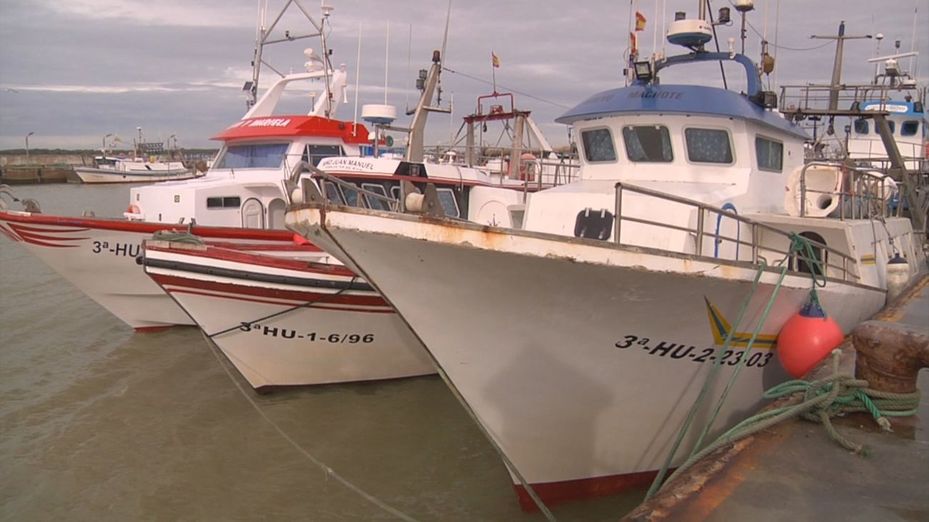 La flota pesquera española amarra sus barcos en protesta contra la nueva normativa de la UE