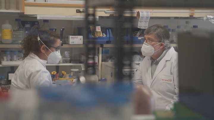 Una terapia génica desarrollada en Madrid abre una nueva vía para frenar el alzheimer