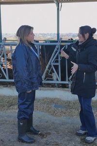 Madrid mejora tu vida 01.02.2026