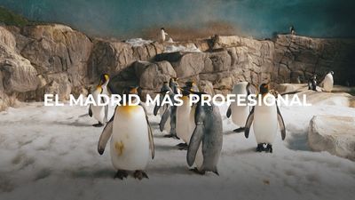 Enamorados de Madrid: Profesiones singulares