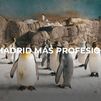 Enamorados de Madrid: Profesiones singulares