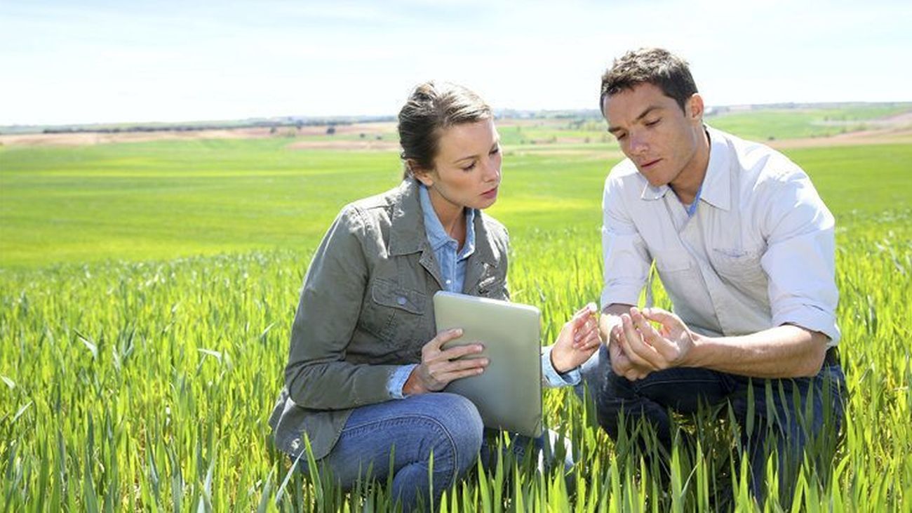 Oposiciones del Ministerio de Agricultura: 44 plazas de Ingeniero Agrónomo