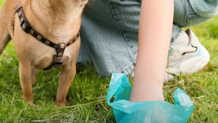 Majadahonda estrecha el cerco sobre los dueños de mascotas que no recogen las heces
