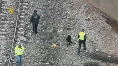 Hallan los cuerpos de los dos desaparecidos en el accidente de Adamuz  y la cifra de fallecidos aumenta a 45