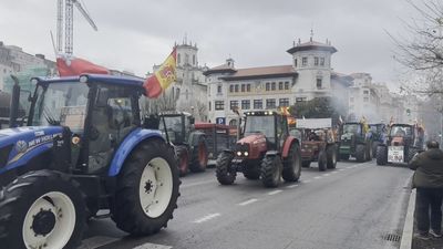 Los agricultores piden a Bruselas que respete la voluntad de la Eurocámara de paralizar el acuerdo con Mercosur