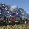 El nacimiento de las 'ovejas solares' en China