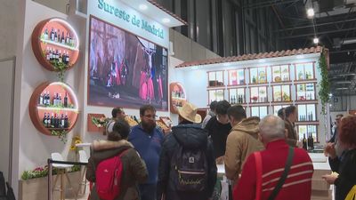 Fitur 2026 logra más de 255.000 visitantes y genera un impacto de 505 millones para Madrid