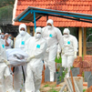Claves del Nipah, un virus emergente y sin tratamiento que mantiene en alerta a la India