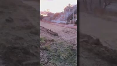 "Pantallas antirruido a dos metros de casa": la protesta de los vecinos de Parque Coimbra en Móstoles