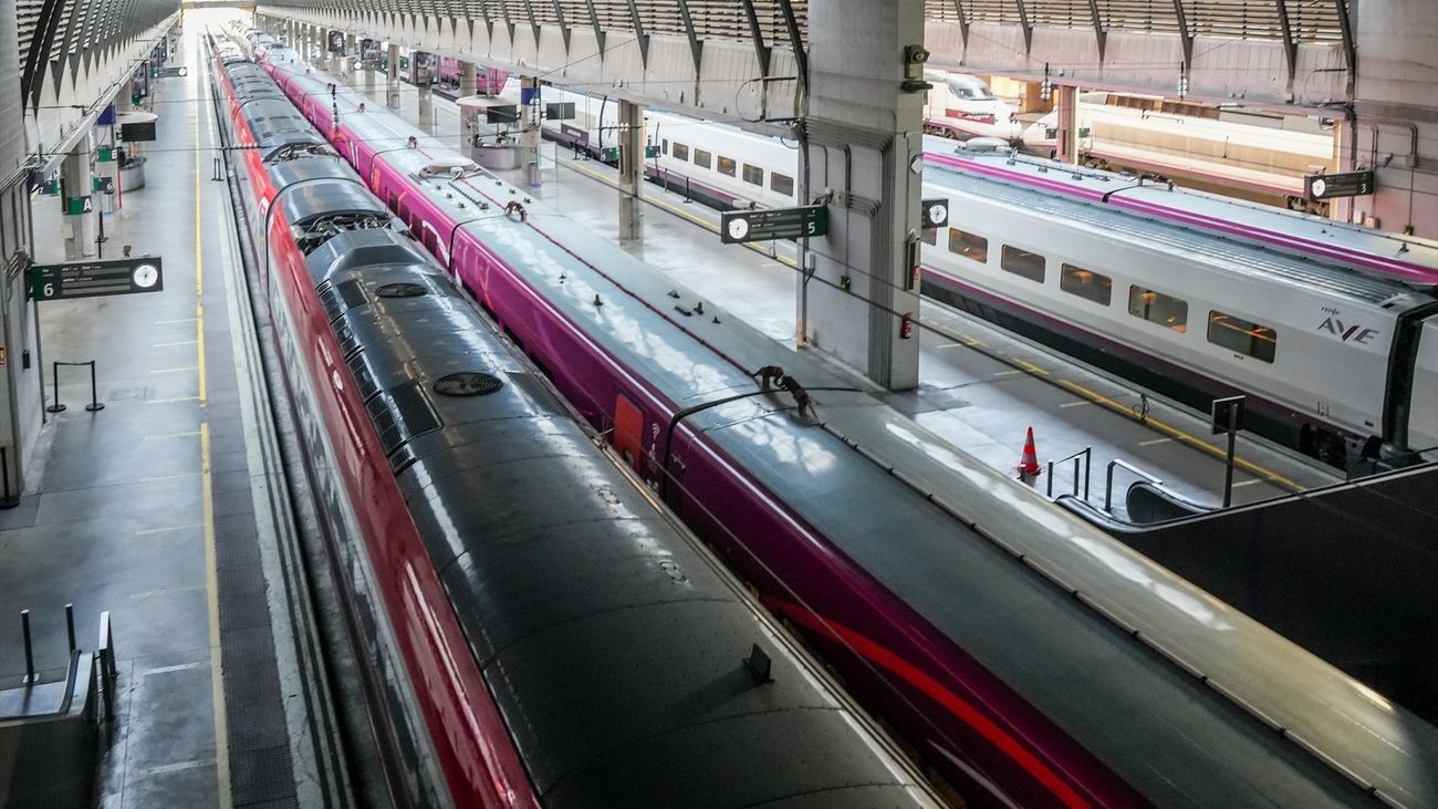 La alta velocidad Madrid - Andalucía volverá a operar completamente en unos diez días, según el Gobierno