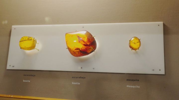 Museo de Ámbar en República Dominicana / REDACCIÓN