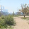 Luz verde definitiva a Las Tablas Oeste, primer ámbito urbanístico de Madrid Nuevo Norte