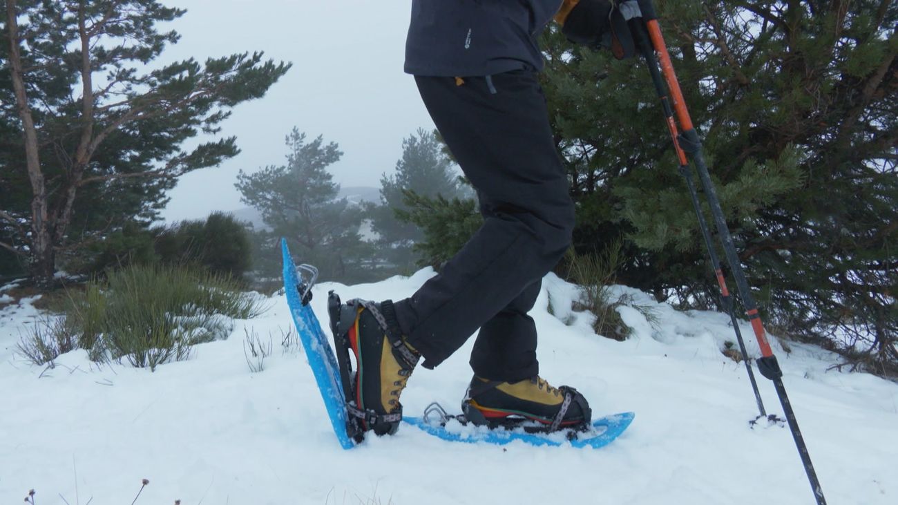 Disfrutar la montaña en invierno: descubre las raquetas de nieve en Navacerrada