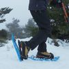 Disfrutar la montaña en invierno: descubre las raquetas de nieve en Navacerrada