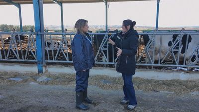 Madrid mejora tu vida 01.02.2026