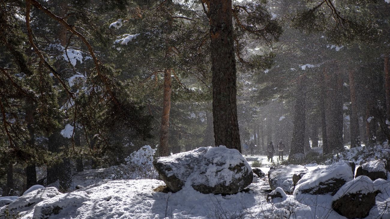 Obligatorio el uso de cadenas en las carreteras que suben a  Navacerrada y Cotos