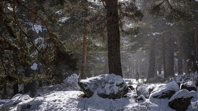 Obligatorio el uso de cadenas en las carreteras que suben a  Navacerrada y Cotos