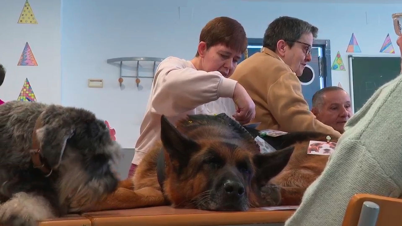 La Comunidad de Madrid destinará más de 23 millones a la atención integral de personas con discapacidad intelectual