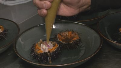 'La Mar de Oricios' traslada el sabor de Asturias a Madrid