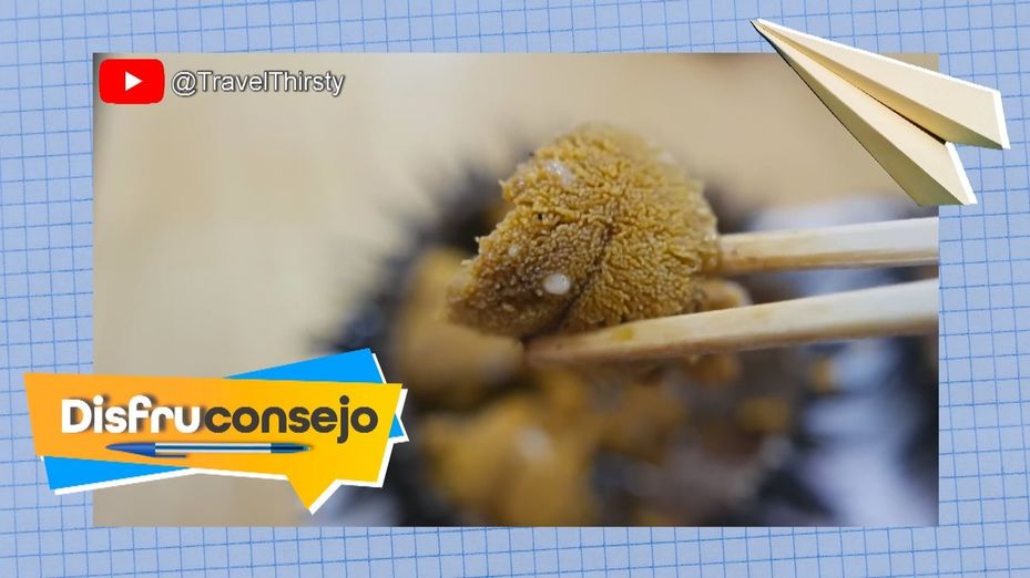 Aprende a abrir un erizo de mar