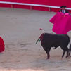 Alcaldes de Madrid rechazan la prohibición de que los menores accedan a los espectáculos taurinos