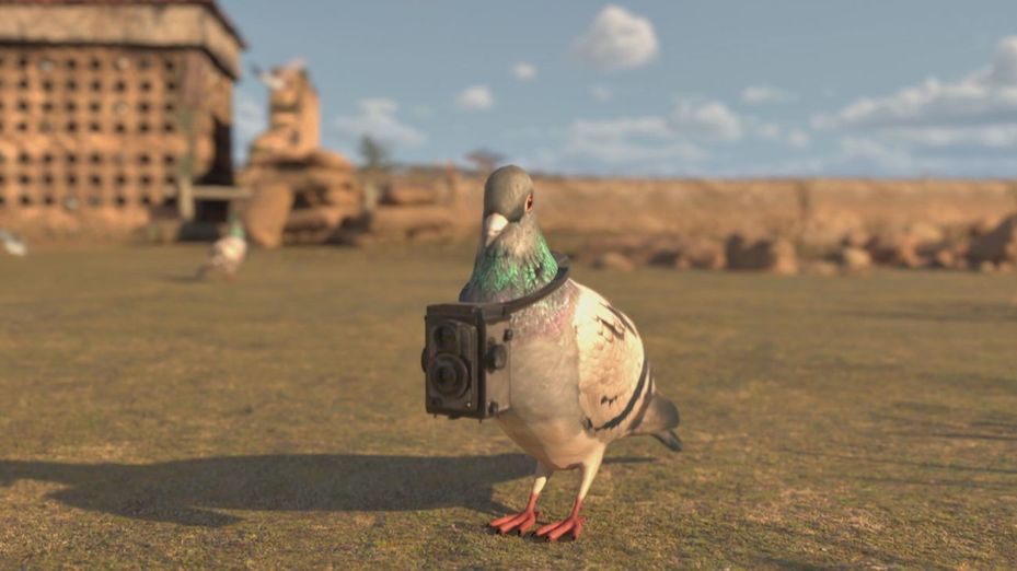 El uso de las palomas durante las guerras