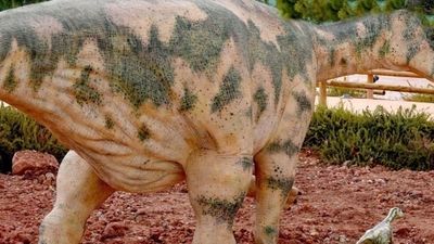 Descubren el dinosaurio ornitópodo más pequeño del mundo: medía medio metro y tiene 125 millones de años