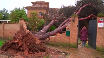 La borrasca Leonardo sacude España: lluvias intensas, viento huracanado y cientos de incidencias