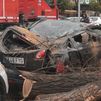 La caída de un árbol de 24 metros sobre dos turismos preocupa a los vecinos del Barrio del Pilar