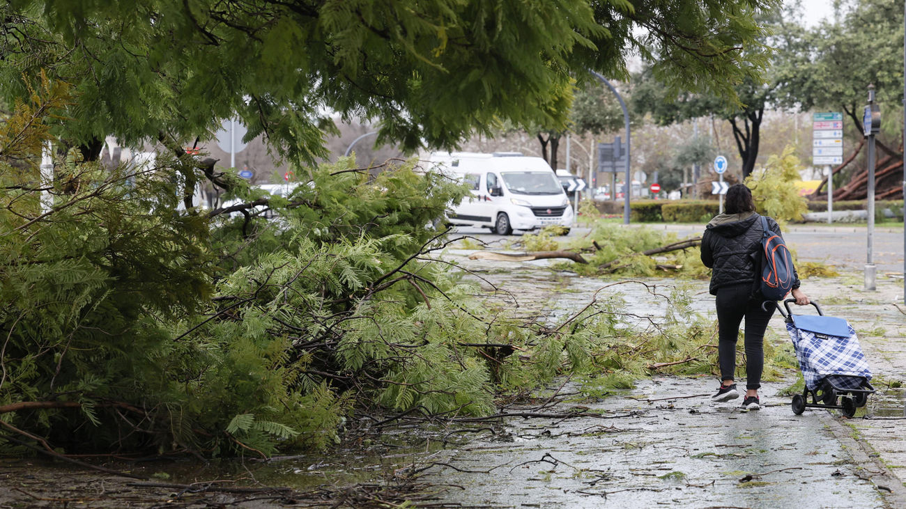 Alerta en Andalucía por lluvias por la borrasca Leonardo con riesgo de inundaciones