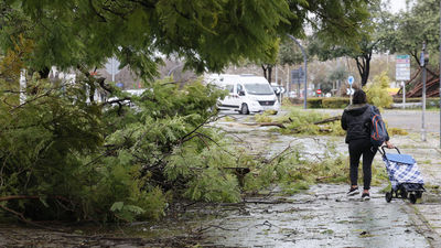 Alerta en Andalucía por lluvias por la borrasca Leonardo con riesgo de inundaciones